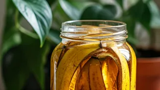 Switch Synthetic Plant Chemicals For Home-Brewed Banana Peel Liquids