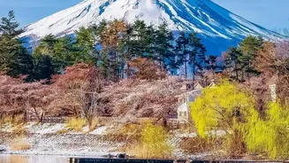 Quieter Alternatives to Shibuya, Arashiyama and Other Japan Icons