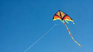 Related Stories banner