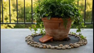 Easy DIY Balcony Drainage Ideas That Help Plants Survive Heavy Rainfall