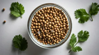 Coriander Seed Gut Healing Tonic Will Smoothly Fix Bloating