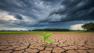The Rainy Season's Biggest Agricultural Story