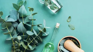 Eucalyptus Foot Soaks Should Stop Immediately If Burning Or Rash Appears
