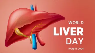 World Liver Day 2026: When is it, theme and how to keep your liver healthy