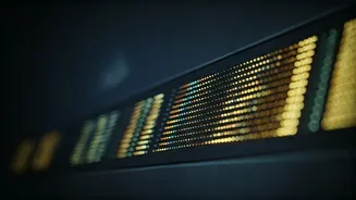 NSE IPO: Unveiling Ashish Chauhan's DRHP Insights