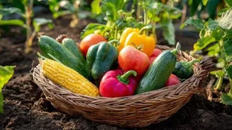 Are raw vegetables always healthier?