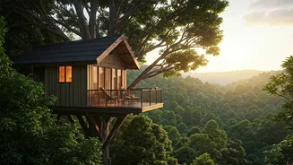 Wayanad Eco Rainforest Treehouses Are Ultimate Escape For Newlyweds