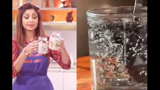 Isabgol Vs Chia Seeds: What Is The Difference? Which Is The Everyday Gut Hero?