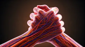 Mastering Relationships: Practical Ways to Conquer Challenges