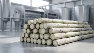 India Opens Sugar Imports As Experts Debate The Role Of Ethanol