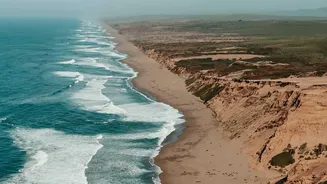 Coastal Erosion Is a Local Crisis With Potentially Wider Environmental Effects