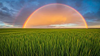 Finding Joy: Uplifting Stories that Inspire