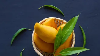 Neelam and Totapuri Extend India's Mango-Export Conversation Beyond Premium Varieties