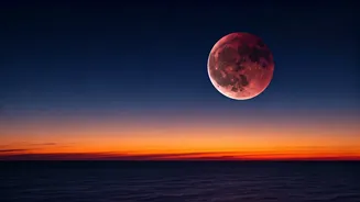 Related Stories banner