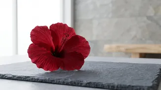 Hibiscus: Beauty claims reviewed by science