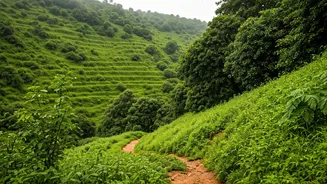 Rain-Light Travel Makes Rajasthan Feel Fresh