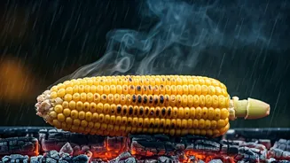 Nothing Beats Rain And Roasted Bhutta