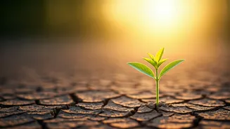 Melinda Gates: Embrace Flexibility and Adaptability to Conquer the Fear of Change