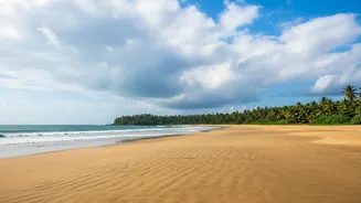 South Goa Digital Nomad Hubs Lower Monthly Rates During Monsoon Months