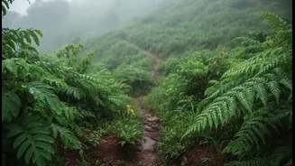 India's Monsoon Tourism Boom Is Changing Traditional Holiday Calendars