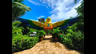Arvorar: como é a visita ao novo espaço do Beach Park dedicado à preservação de aves