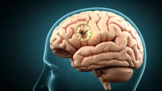 Related Stories banner