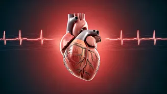 Related Stories banner