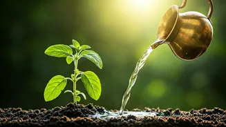 Unlock Blessings: 3 Powerful Mantras for Your Sacred Tulsi Water Offering