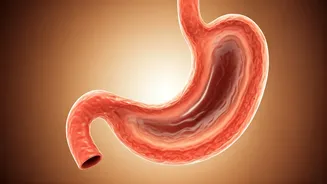 Sleep Smarter: Why Hunger Before Bed Might Be Your Secret Weapon