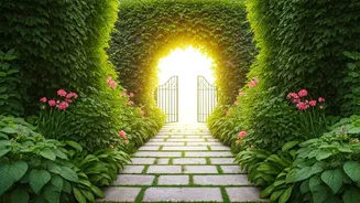Forgiveness Leads to Inner Peace, Better Life
