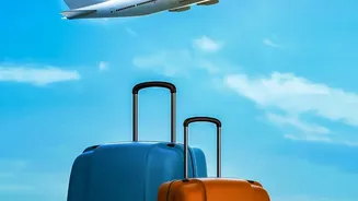 A Closer Travel Look At Written Airline Complaint Records After The Recent Late-Baggage Consumer Ruling