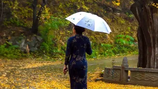 The Rainy Season Is Becoming A Prime Time For Travel Across India