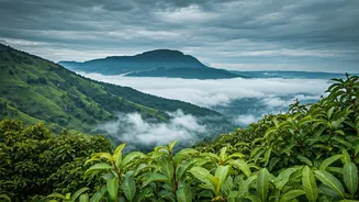ಮಳೆಗಾಲದಲ್ಲಿ ನೋಡಲೇಬೇಕಾದ ಮಂಜಿನ ತಾಣಗಳು