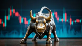 Indian Stock Market Rebounds After Early Dip