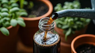 Balcony Gardeners Share Genius Brewed Compost Liquid Growth Booster Secret
