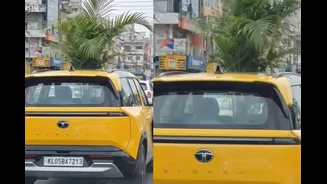Kerala Man Uses Yellow Tata Sierra’s Sunroof To Carry Palm Plant, Internet Asks ‘Is That A Pineapple?’