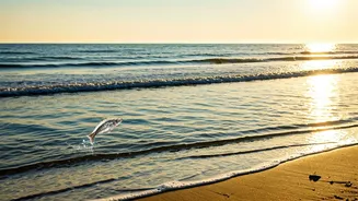 Pisces Daily: Embrace the Day with Wisdom & Insight!