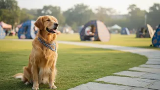 Jaipur's Mega Pet Carnival Adds Vaccination Support to the Civic Pet-Service Planning Checklist