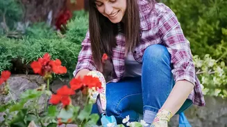 How To Repot Indoor Plants Safely Beginners Guide To Changing Soil Without Damage