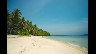 Best Time to Visit Andaman Islands: Seasonal Guide