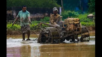 15% Monsoon Deficit Pushes Over Half of India into Drought