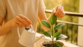 How AI can make plant care effortless