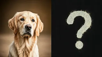 Petfishing: The Adorable Dating Trend—Sweet Connection or Sneaky Deception?