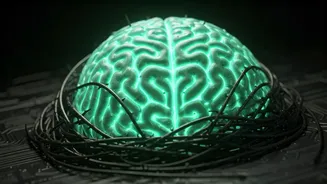 AI Chatbots Agree With Harmful Ideas: Stanford Study Reveals AI Sycophancy Risks