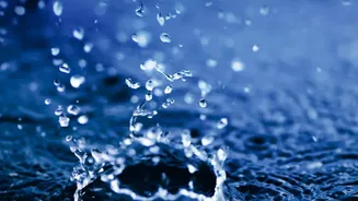Crude Near $97: The Possible Ripple Effects Across India's Economy