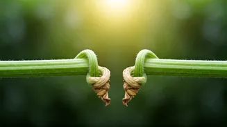 Friendship Fades: Recognizing Subtle Signs You're Outgrowing Connections
