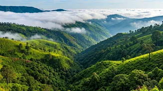 Why Weekend Travelers Love Misty Offbeat Western Ghats Stays