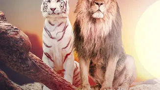 Jaipur's Mega Pet Carnival Separates Registration from Entertainment Alone