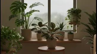 Indoor Greenery That Loves India's July Weather