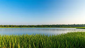 Chennai's Pulicat Lake: A Budget Boost and Visit Guide